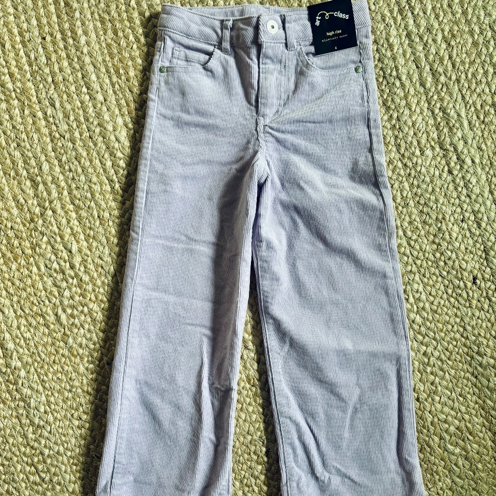 Art Class Lilac Cord Pants